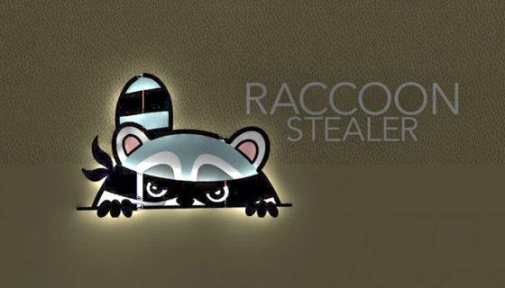 Raccoon Stealer Malware: Inquisitive Intruder