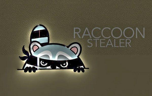 Raccoon Stealer Malware: Inquisitive Intruder